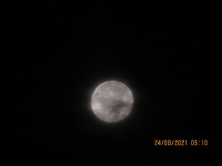 18621B71-0DDD-4F02-A3CE-4CA6643A25EA/L0/001