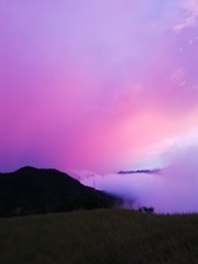 65289