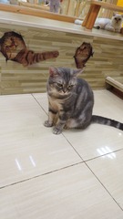 F10AA02F-212E-49DD-9D7C-FDC8502BBCD1/L0/001