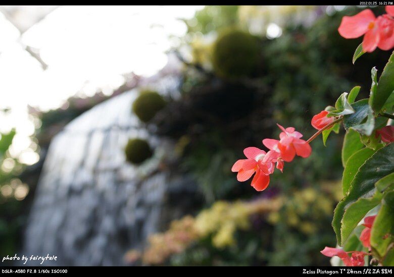 辰山植物园<br />
