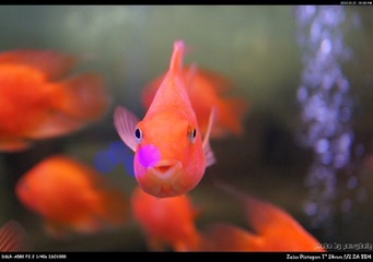 2114030_782271706_rotate.jpg