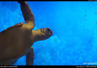 2114030_797060212_rotate.jpg