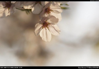 DSC04228.jpg