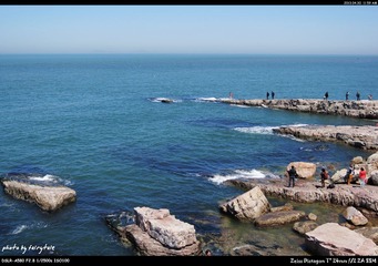 DSC09502.jpg