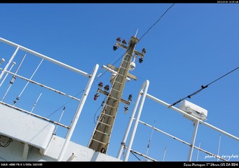 DSC09407.jpg