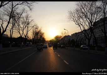 DSC09313.jpg