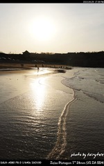 DSC09286.jpg