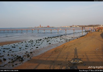 DSC09291.jpg