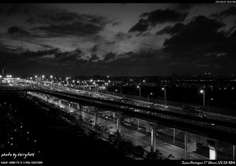DSC01073_bw