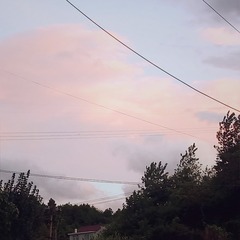 249618