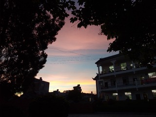 17064