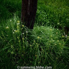 P1030831
