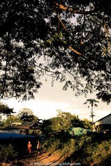 P1070449