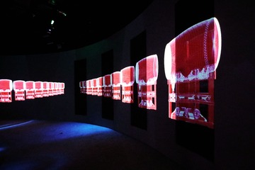 重庆2011