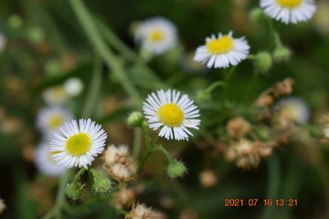 CC66B183-81BA-432C-B4DD-94613B819D05/L0/001