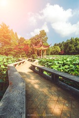 DSC_8074-编辑-2.jpg