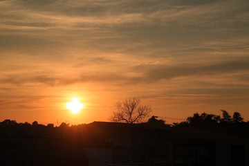 120032