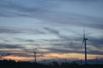 209119