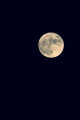 AB20BA3E-AB43-470F-AE28-830C9AAE3086/L0/001