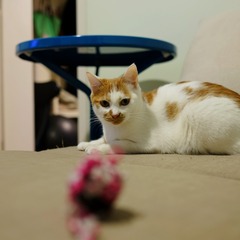 165050