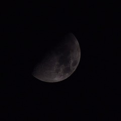 082F6925-441B-43E8-9184-0DF5CF707C3D/L0/001