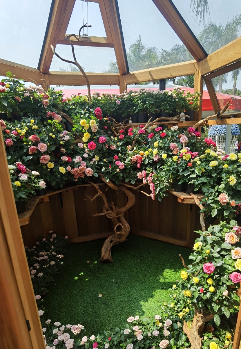 花展角  玫瑰花的玻璃亭子