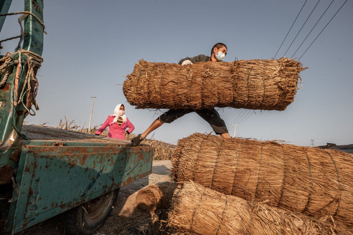 《 寿光菜农》 - 张文南 - 图虫