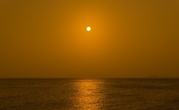 1000281254