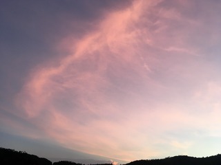 7843710F-4A8F-43E6-9859-6C06D05DE078/L0/001
