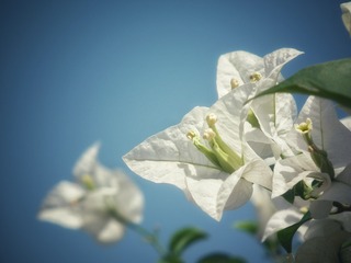 280426