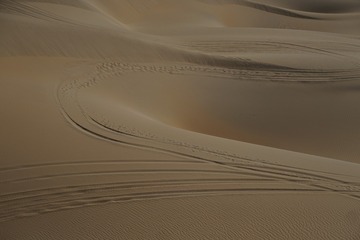 1274372