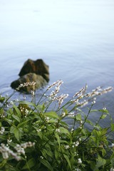 DP2M0108