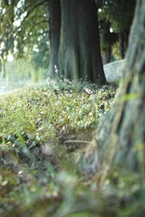 DP2M0092