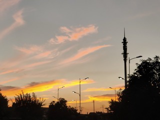 1000043701