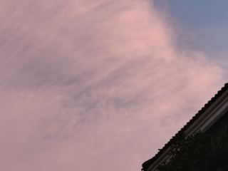 1000043703
