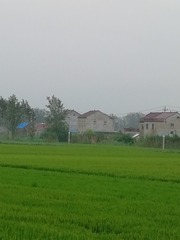 7112