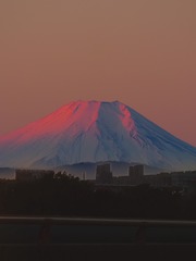 28335