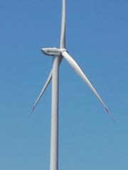 28354