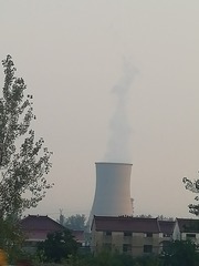 31449