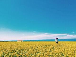71F6FEF8-2A94-42FD-A780-8C6CA9428380/L0/001