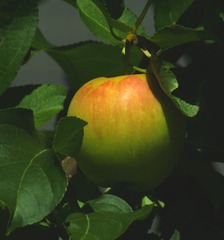 128319