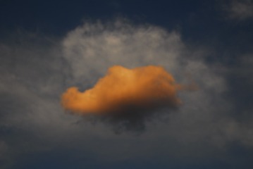 127556