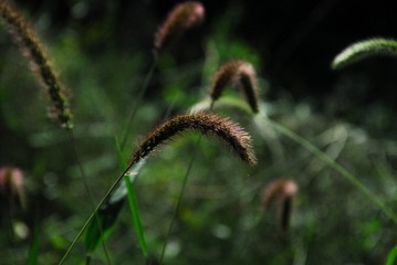 130486