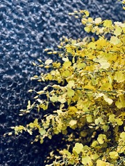 CB1633D7-3BB4-417E-B9F8-B48E13549091/L0/001