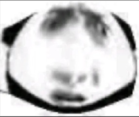 558916