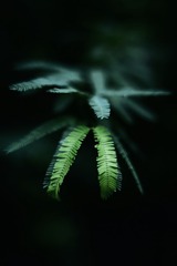 845573B9-E3CD-4C37-BD68-C43AC6EF1B2F/L0/001