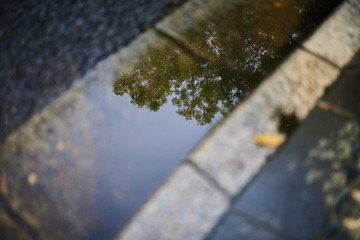 99A7E6BE-1CF2-4994-9991-EBCDA7810D3C/L0/001