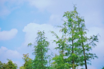 4FDEBA28-72F0-4735-B87F-CF5967F7FF9D/L0/001