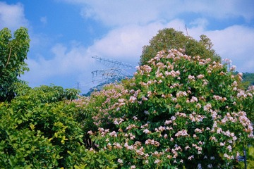 E38648AD-9933-424C-A6B9-02BB1D85D260/L0/001