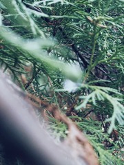 1973